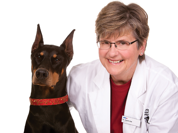 Veterinarians | Kanata Animal Hospital | VCA Canada Animal ...