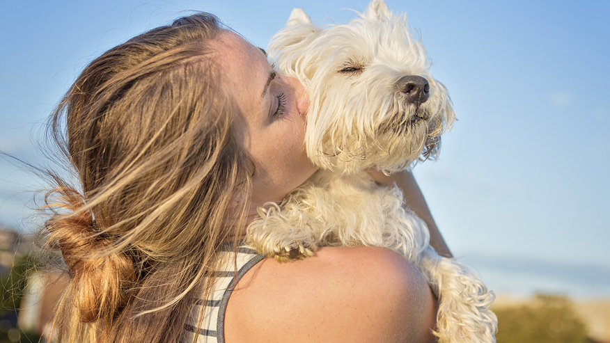 Services at VCA Canada