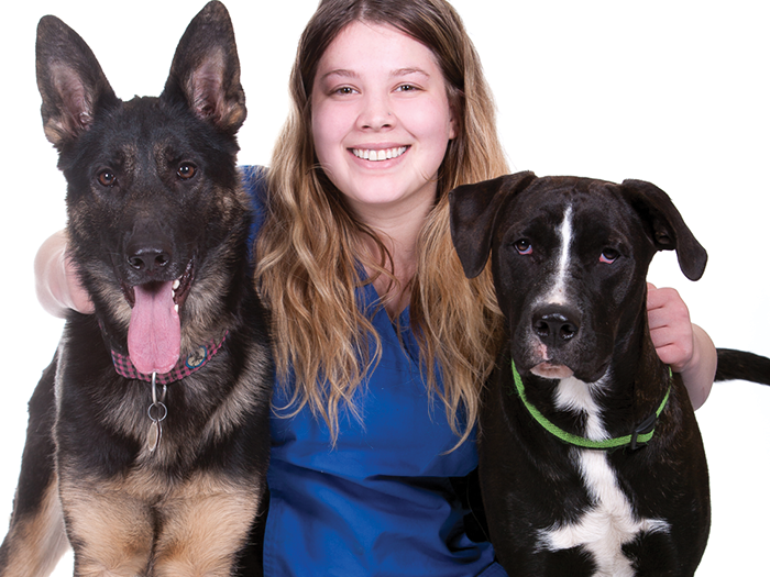 Additional Services Offered