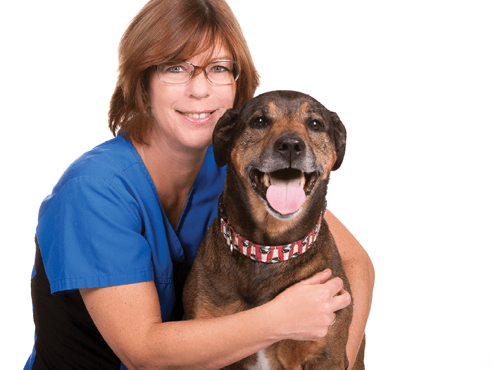 Veterinarian Support | Kingsway Animal Hospital | VCA ...