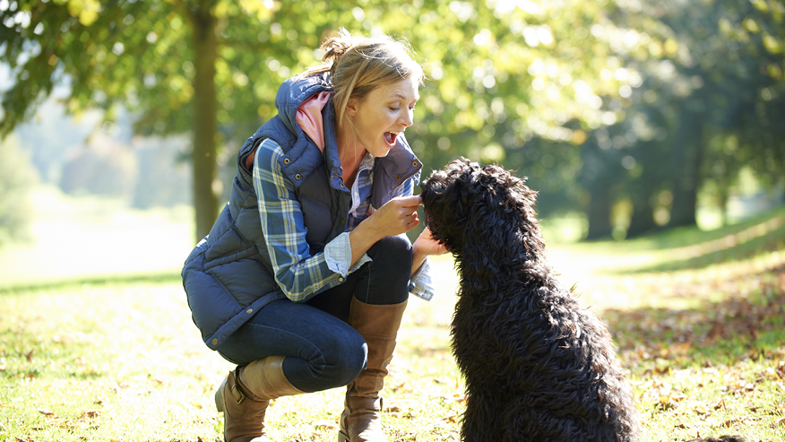 Pharmacy Services at VCA Canada