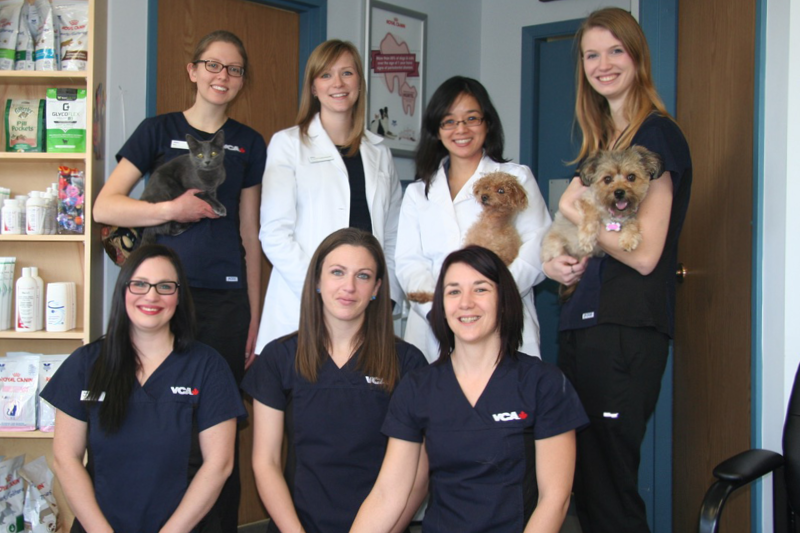 Veterinarians in Saskatoon, SK | Lakeview Animal Hospital