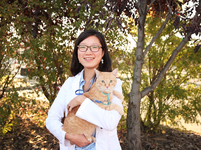 Additional Services Offered