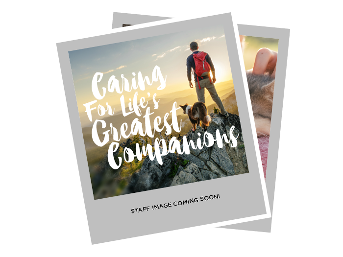 Additional Services Offered