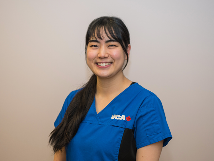 Additional Services Offered