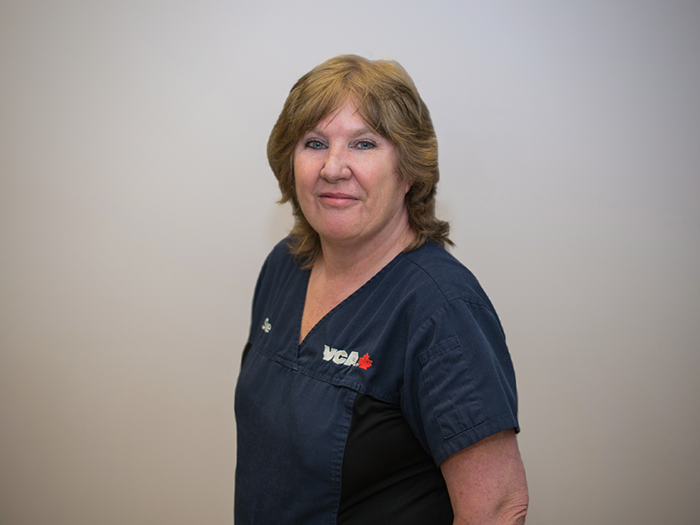 Additional Services Offered