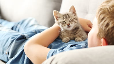 Ear Checks