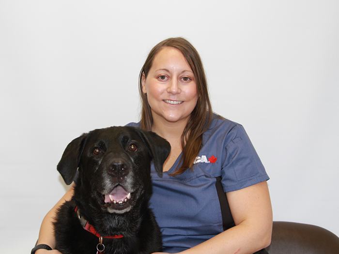 Shayna Kaschak | London Regional Veterinary Emergency and Referral Hospital
