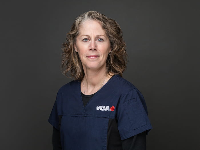 Staff Image