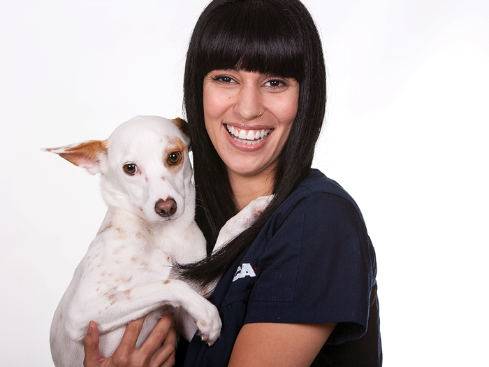 Veterinarian Support MacKay Animal Hospital VCA Canada Animal Hospitals