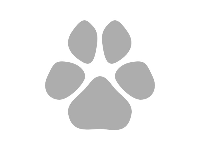 Grey Paw Print