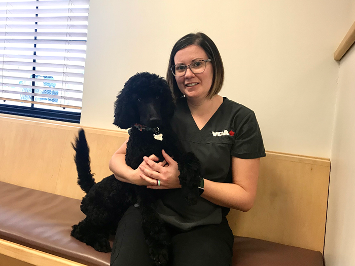 Additional Services Offered