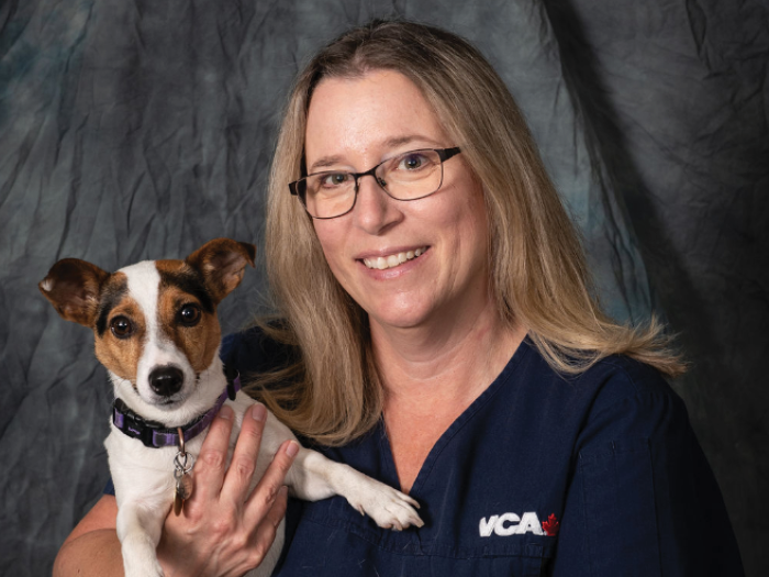 Additional Services Offered