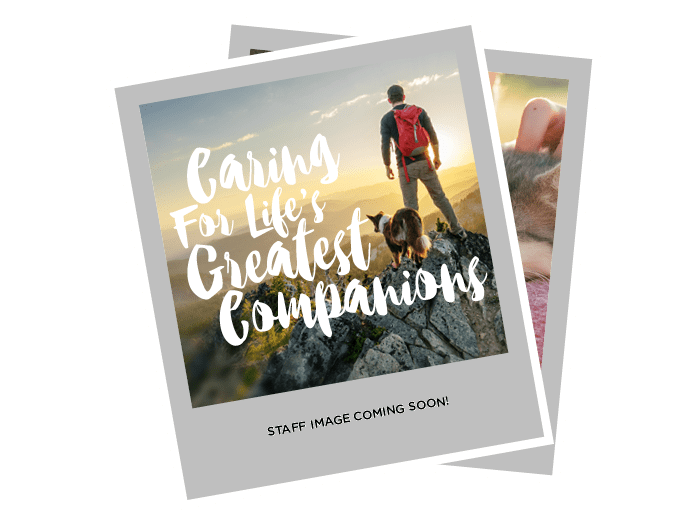 Dinaz Naigamwalla Mississauga Oakville Veterinary Emergency and