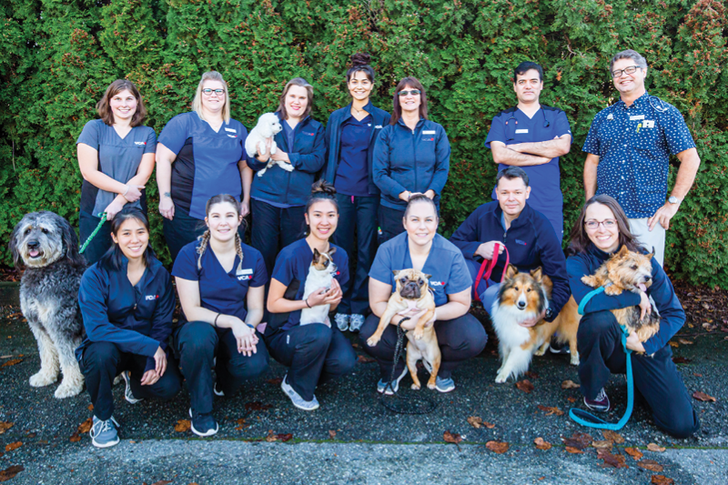 Veterinarians in Surrey, BC | Newton Animal Hospital