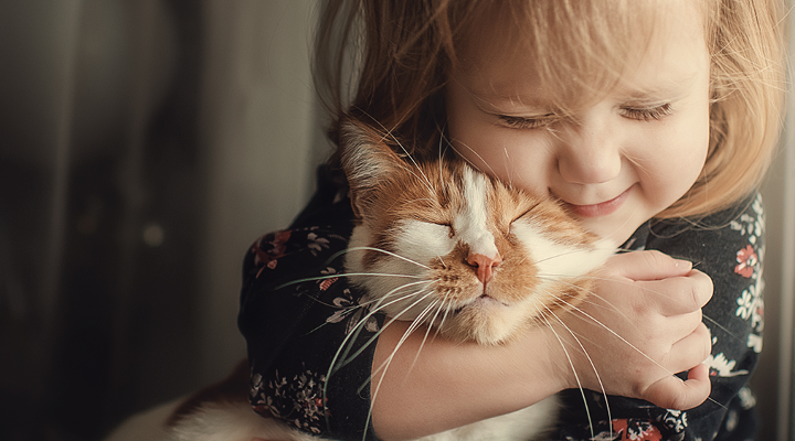 Home - Mosaic - no CC - FFE