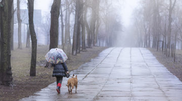 Home - Mosaic - OVET moving