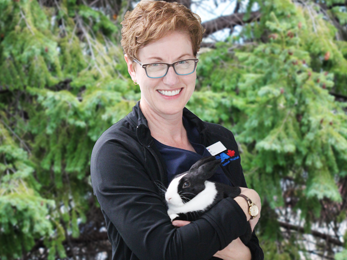 Additional Services Offered