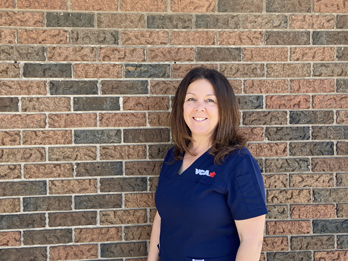 Additional Services Offered