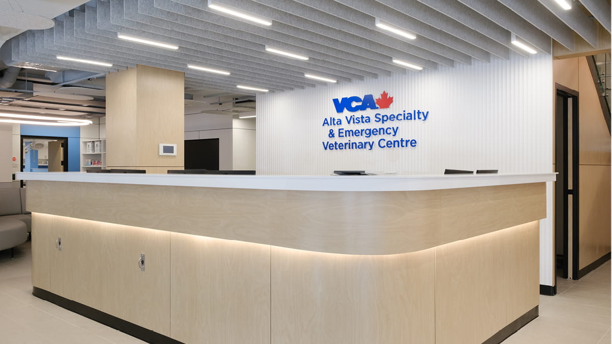 Alta Vista Opens New Specialty &amp; Emergency Veterinary Centre in Ottawa