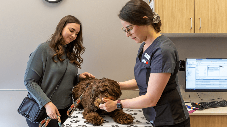 VCA Canada recognized as one of Alberta&rsquo;s Top Employers for 2024