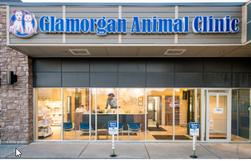 Glamorgan Animal Clinic joins the VCA Canada family of hospitals, March 1, 2023.