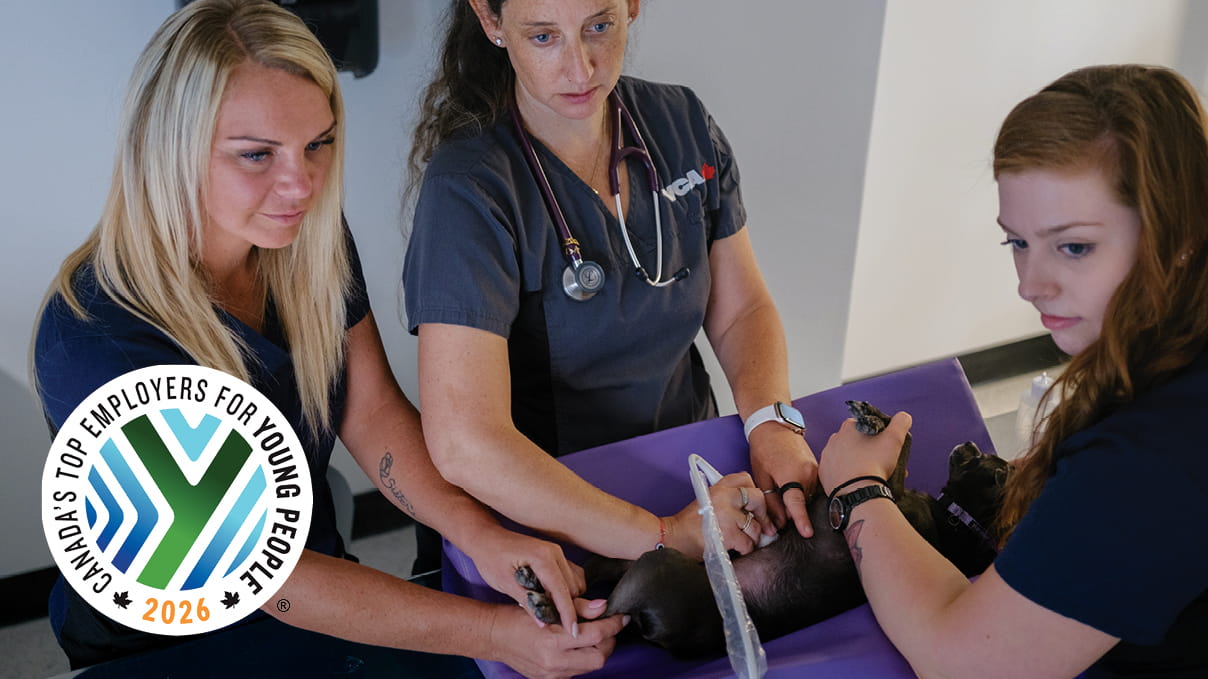 VCA Canada Recognized as One of Canada&rsquo;s Top Employers for Young People 2026
