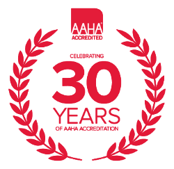 AAHA accredited
