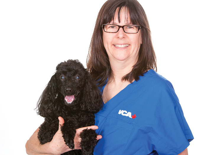 Additional Services Offered