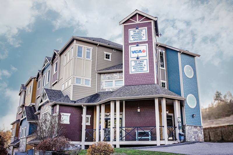 Specialty Veterinarians in Winfield, BC | Tri Lake Animal Hospital &  Referral Centre