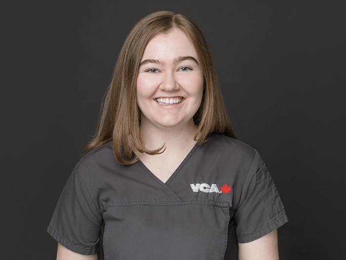 Wilson Vancouver Animal Emergency & Referral Centre