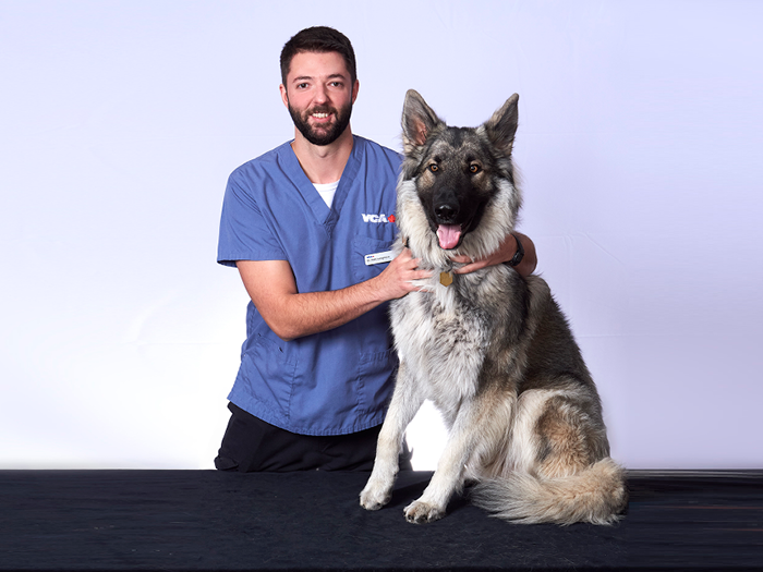 Animal Emergency & Critical Care | Western Veterinary Animal Emergency & Critical Care | Western Veterinary