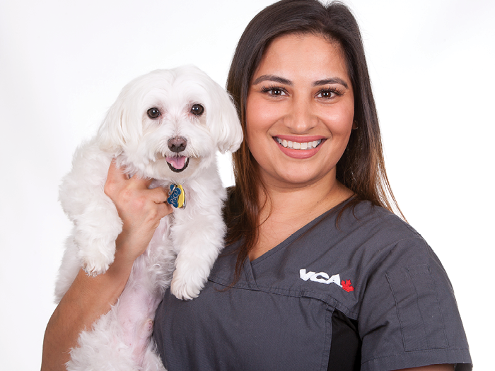 Additional Services Offered