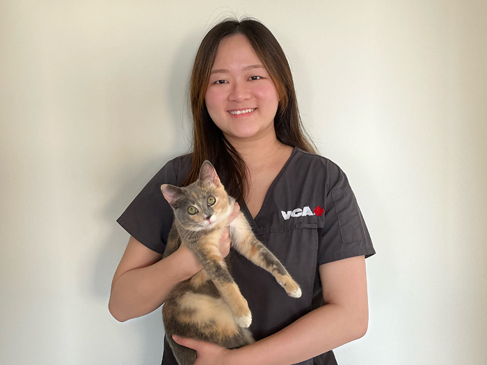 Additional Services Offered