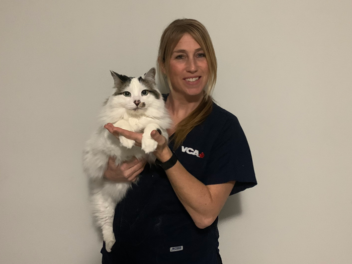 Additional Services Offered