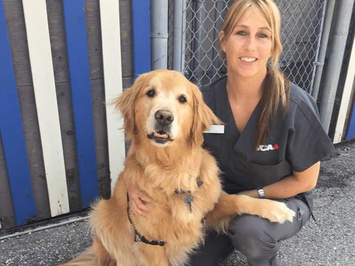 Alissa Miller | Willowdale Animal Hospital